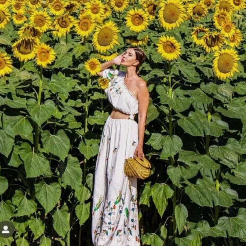 FARM RIO LINEN BLEND EMBROIDERED FLORAL LONG DRESS NWT  - S,M, L